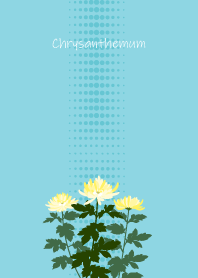 December's birth flower, Chrysanthemum