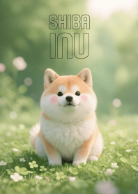 Lovely Shiba Inu in Clover Land (JP)
