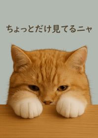 ちょっとだけ見てるニャー猫(シルバー）#9