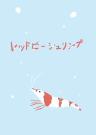 水色×レッドビーシュリンプ