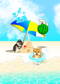 Summer ocean with dogs ( Shiba )