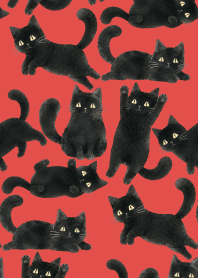 A unique cat11 red