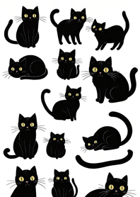 Super cute black cat wWSOJ