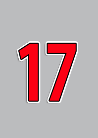 NO.17