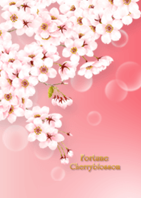 Fortune Cherry blossoms 2 *