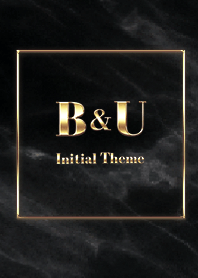[ B&U ] Initial Theme  Gold Black