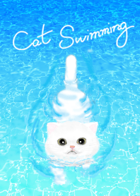 Cat Swimming : 3