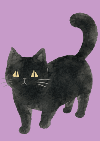 A unique cat04 light purple