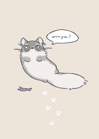 Very fluffy cat