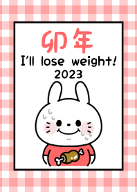 祝賀新年　黃道十二宮 卯 -2023- 86