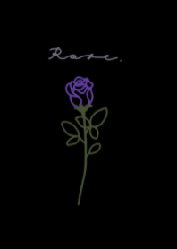 Rose -black purple