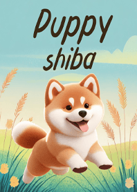 Puppy Shiba