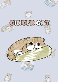gingercat11 / alice blue