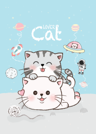 แมวน้อยน่ารักสีฟ้า