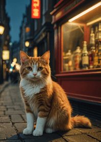 Cats run wild #GXWaH219.