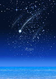 Hawaii*ALOHA+296 shooting star