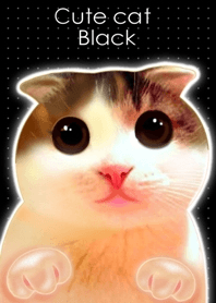 Cute Cat Black