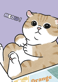 neko single16 / violet