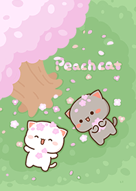 Peach Cat _Under the Cherry Blossoms