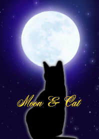 Moon & Cat