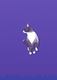 Simple adult cat 1002