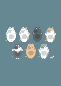 Cat & cat