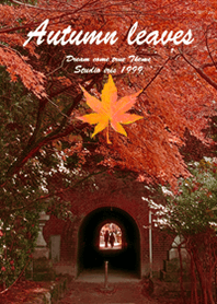 *Autumn leaves2*