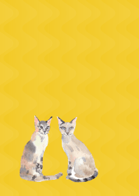 Calm cats on yellow