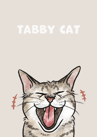 tabbycat4 / pale beige