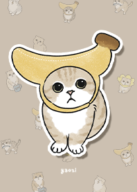 neko combo3 / tan