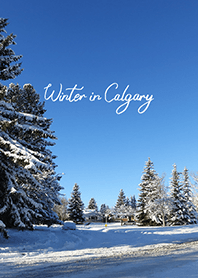 Winter in Calgary (1)