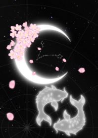 Crescent Moon -Pisces-JPN