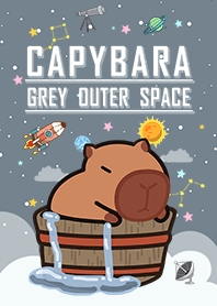 คาปิบารา/น้ำพุร้อน/จักรวาล/สีเทา