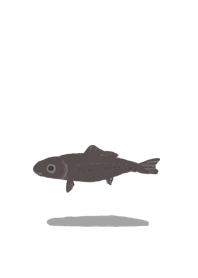 Black goldfish