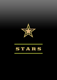 G.STAR THEME 46