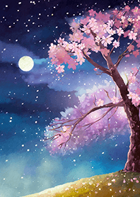 Beautiful night cherry blossoms#1597