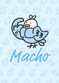 マッチョなインコ2【アイラブマッスル】