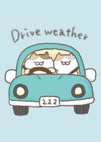 Drive weather