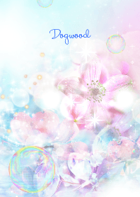 運気がどんどんアップするハナミズキと水晶