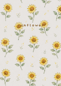 Sunflower Morning brown