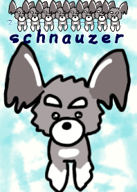 loose schnauzer 1