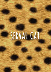 サーバル-ANIMAL PATTERN