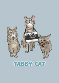 tabbycat11 - light steel blue