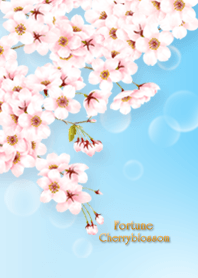 Fortune Cherry blossoms *