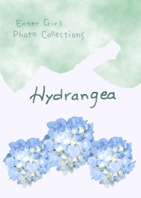 Hydrangea Photo Theme