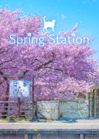 Spring Station 桜と猫の駅