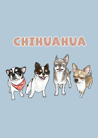 chihuahua3 / blue