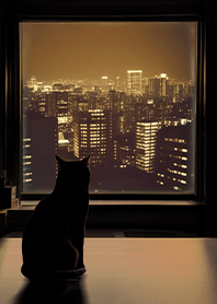 แมวข้างหน้าต่างมองเมืองนีออน 16 โชวะ