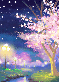 Beautiful night cherry blossoms#1349