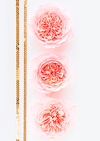 French Rose Elegance